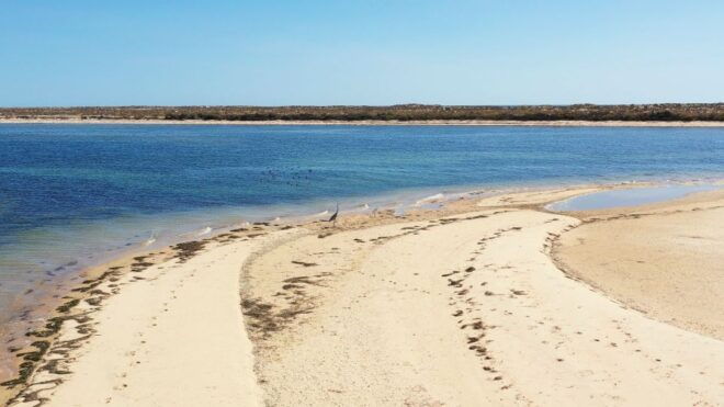 From Olhão: Ria Formosa 3-Island Full-Day Tour - Highlights of the Experience