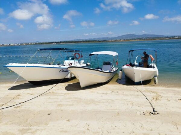 From Olhão: Ria Formosa 3-Island Full-Day Tour - Common Questions
