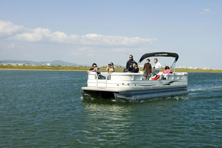 From Olhão: Ria Formosa & Culatra Island 3.5-Hour Boat Trip - Experience Highlights