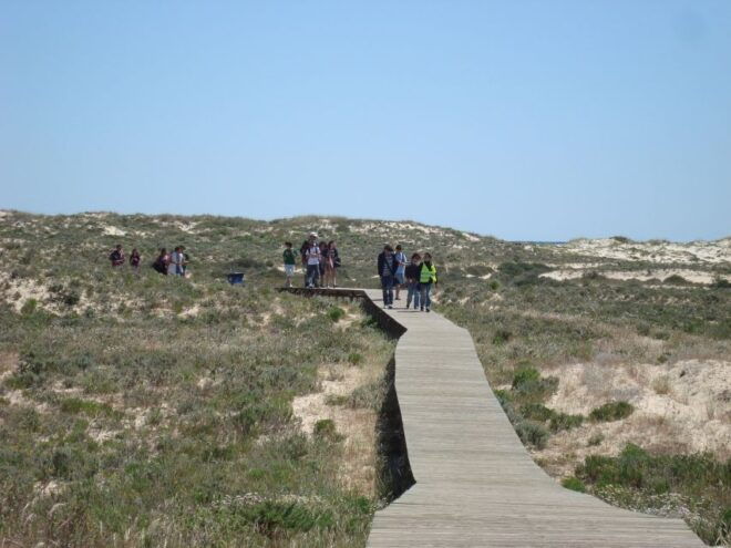 From Olhão: Ria Formosa & Culatra Island 3.5-Hour Boat Trip - Inclusions