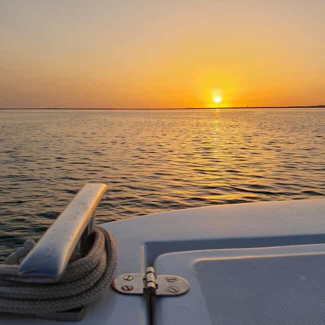 From Olhão: Ria Formosa Sunset Island Boat Tour - An In-Depth Look at the Ria Formosa Sunset Island Boat Tour