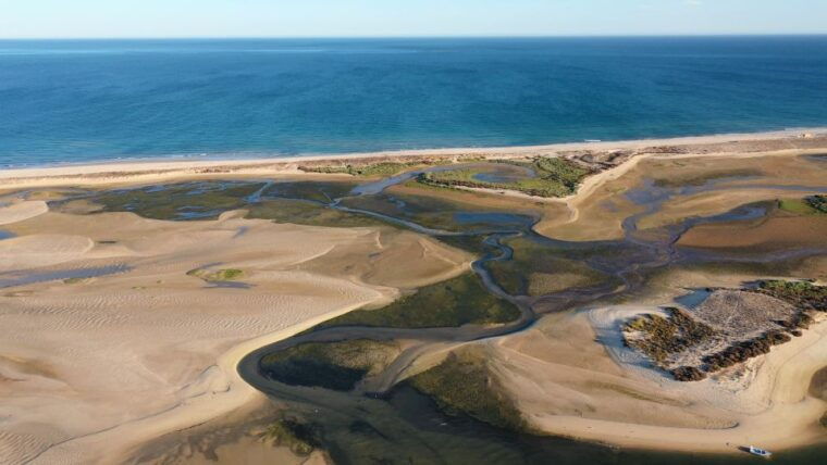 From Olhão: Ria Formosa Sunset Island Tour - Practical Details and Tips for a Smooth Trip