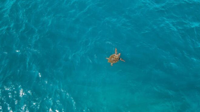 From Olympos: Private Tour to Kekova Island, Myra and Demre - Sunken City of Kekova