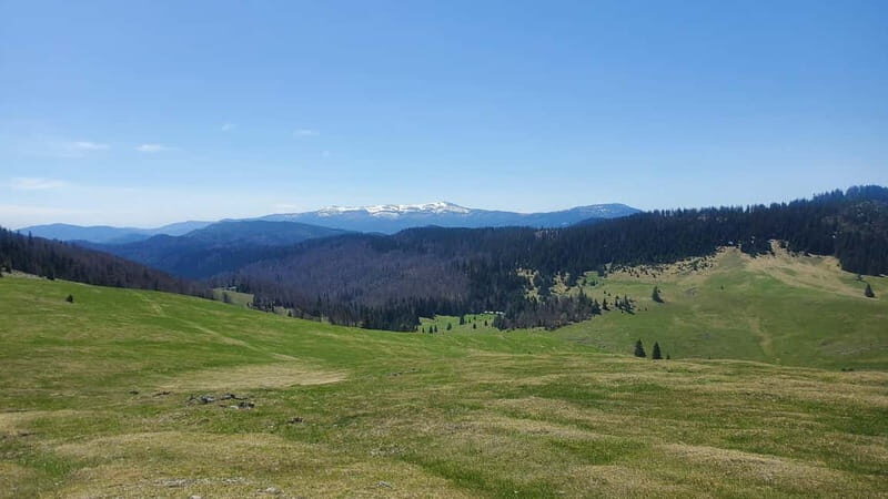 From Oradea: Apuseni Mountains Guided Hiking Tour - Good To Know