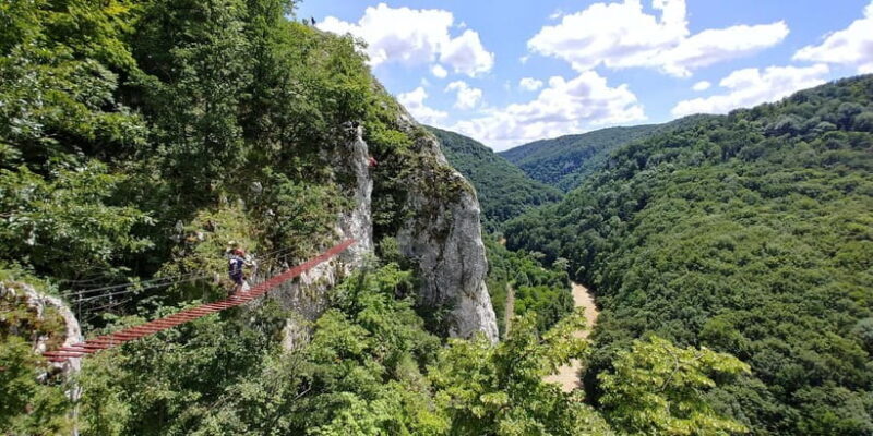 From Oradea: Gorges of Crisul Repede River - What Makes This Tour Stand Out?