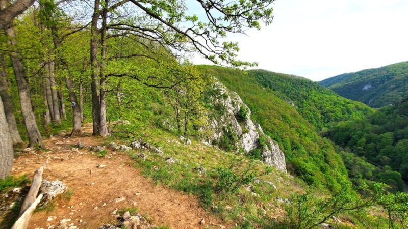 From Oradea: Gorges of Crisul Repede River - Who Will Love This Tour?