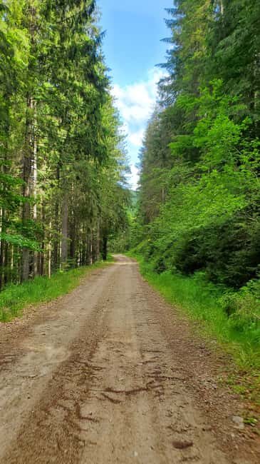From Oradea: Mountain Bike around Lake Dragan - The Experience and Guides: What Sets It Apart?
