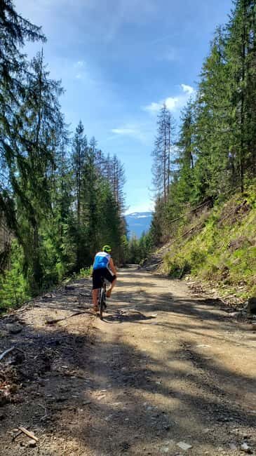 From Oradea: Mountain Bike around Lake Dragan - Who Should Consider This Tour?