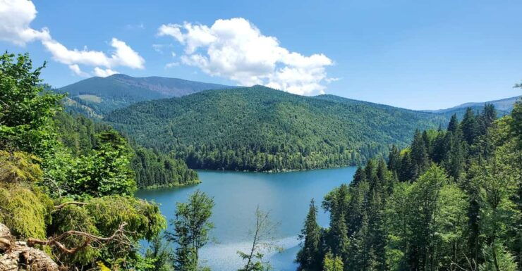 From Oradea: Mountain Bike Around Lake Dragan - Key Points