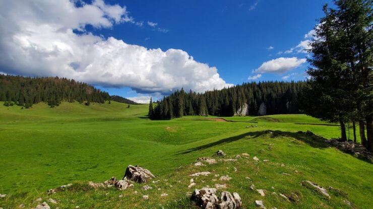 From Oradea:Carpathian Mountains Guided Scenic Hike - Key Points