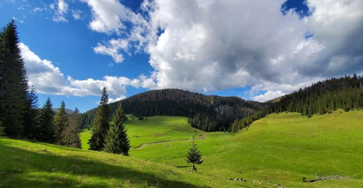 From Oradea:Carpathian Mountains Guided Scenic Hike - Pricing and Booking Details