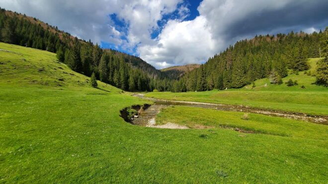 From Oradea:Carpathian Mountains Guided Scenic Hike - Itinerary and Highlights