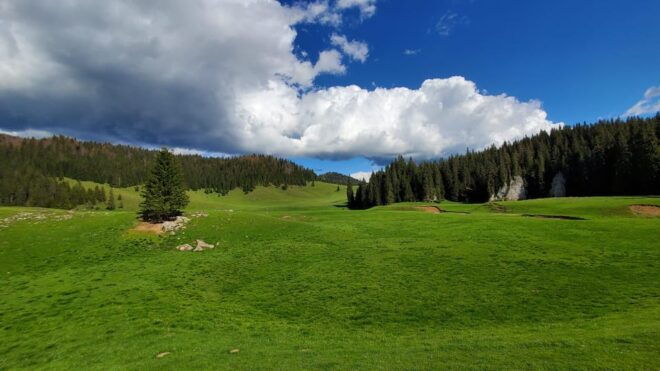 From Oradea:Carpathian Mountains Guided Scenic Hike - Inclusions for Participants