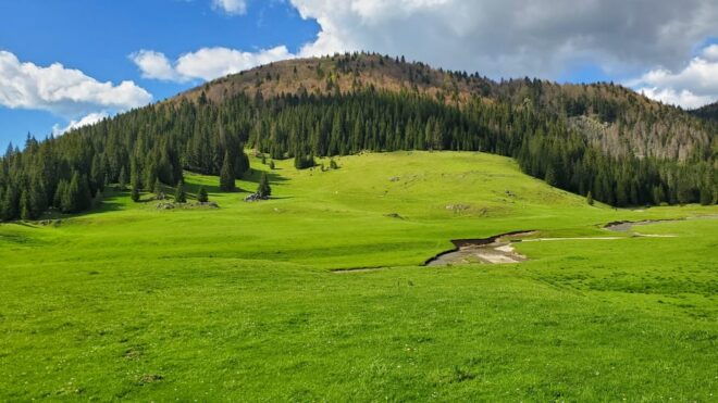From Oradea:Carpathian Mountains Guided Scenic Hike - Preparation Tips for Hikers