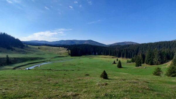 From Oradea:Carpathian Mountains Guided Scenic Hike - The Sum Up
