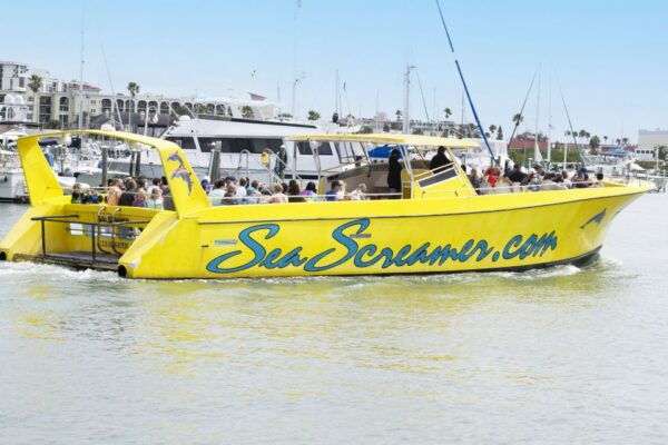 From Orlando: Clearwater Beach Speedboat Tour With Lunch - The Sum Up
