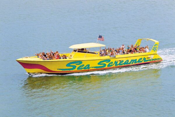 From Orlando: Day Trip to Clearwater Beach With Options - Contact Information and Booking Options