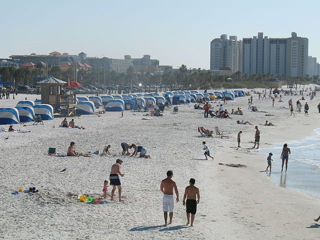From Orlando: Day Trip to Clearwater With Deep Sea Fishing - Experience Highlights on the Fishing Vessel