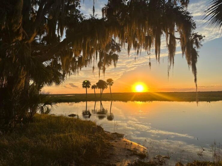 From Orlando: Kayaking the Econlockhatchee River With Lunch - Activity Details