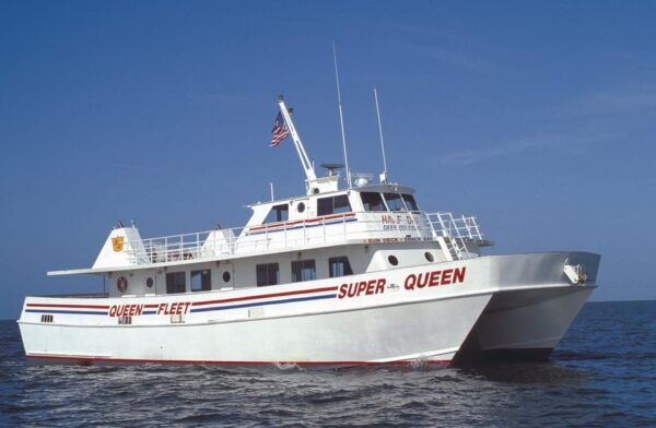 From Orlando: Small Group Clearwater Beach Day Trip - Dolphin Watching Excursion
