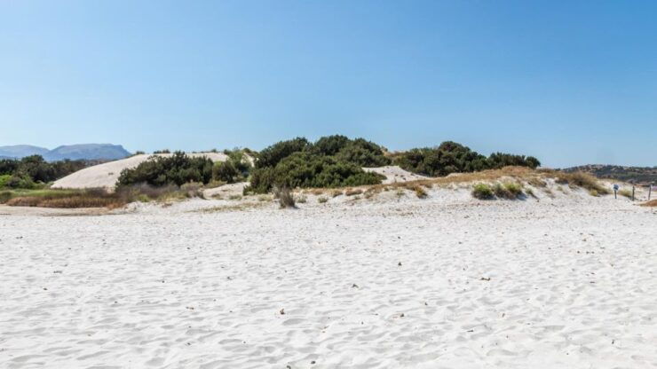 From Orosei: 4x4 Private Tour to Biderosa and Capo Comino - Activity Highlights