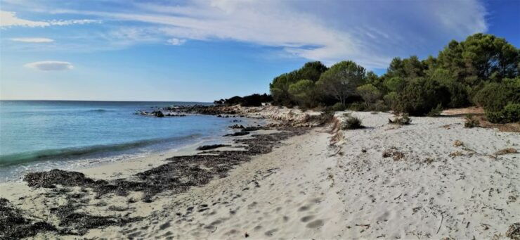 From Orosei: Biderosa and Capo Comino Beaches 4x4 Tour - Tour Experience