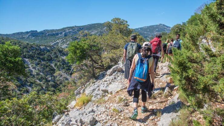 From Orosei/Dorgali: Hike to Cala Luna - Guided Day Trip - Good To Know