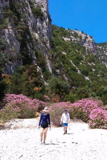 From Orosei/Dorgali: Hike to Cala Luna - Guided Day Trip - Experience Highlights