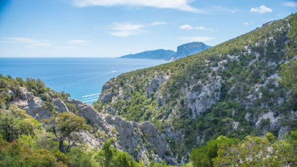 From Orosei/Dorgali: Hike to Cala Luna - Guided Day Trip - Frequently Asked Questions