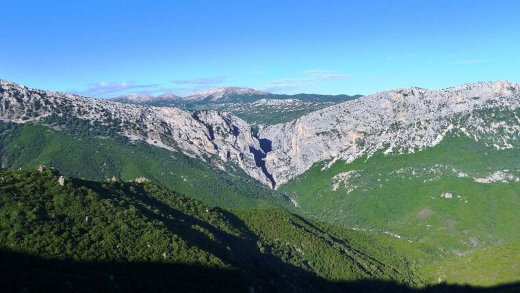From Orosei or Dorgali: Trek to Gorropu With Panoramic Views - Unique Flora and Geological Features