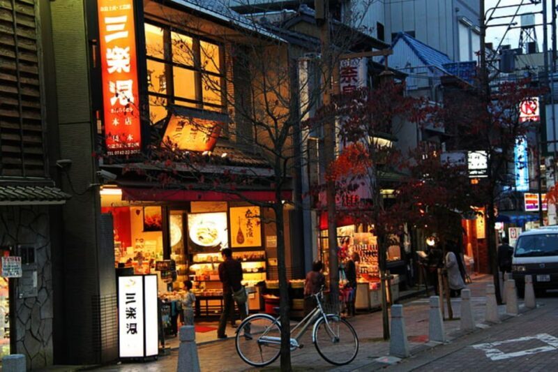 From Osaka: 10-hour Private Day Tour to Kyoto and Nara - Who Will Love This Tour?