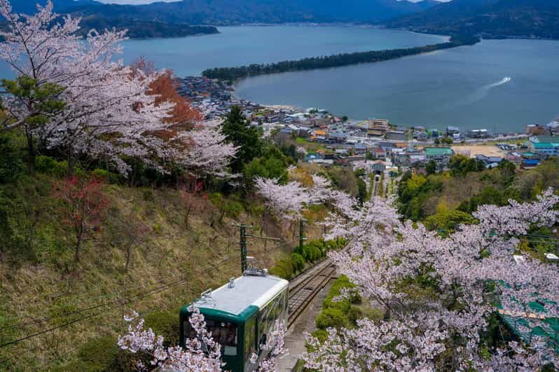 From Osaka: Amanohashidate and Ine Bay Day Trip - Exploring the Itinerary in Detail