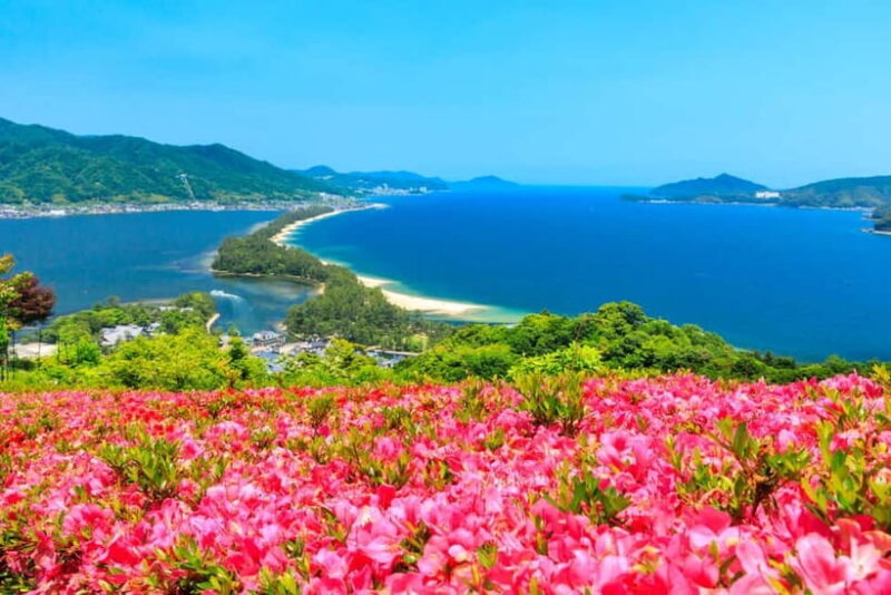 From Osaka: Amanohashidate and Ine Bay Day Trip - Who Will Love This Tour?