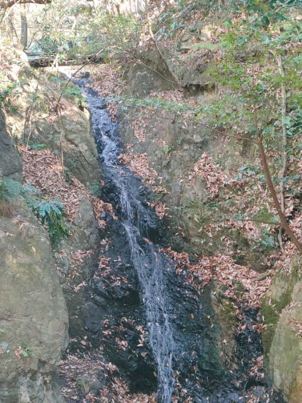 From Osaka: Hidden Kitchen God Temple & Local Treats Walk - Final Thoughts