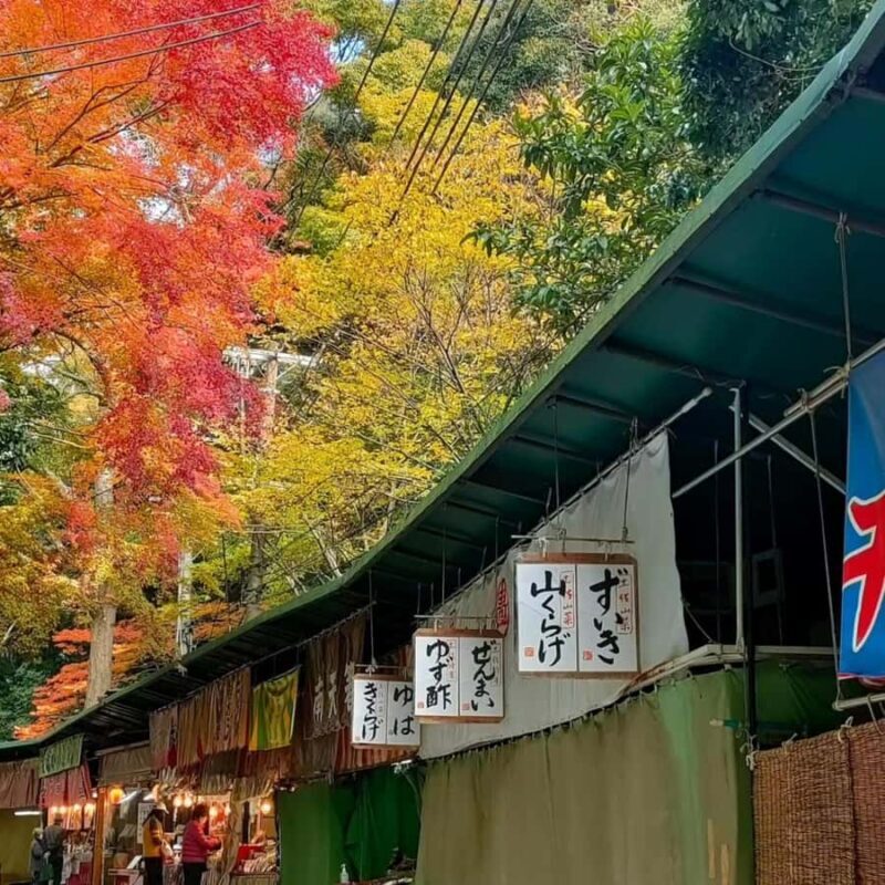 From Osaka: Hidden Kitchen God Temple & Local Treats Walk - FAQ