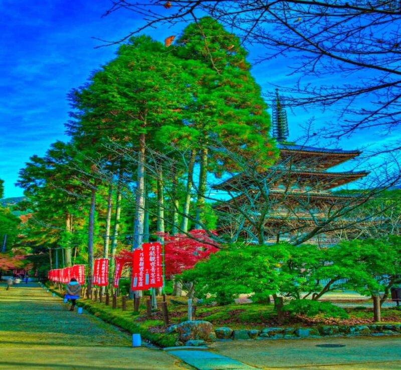 From Osaka: Hiroshima Peace Memorial Museum & Castle Tour - Final thoughts