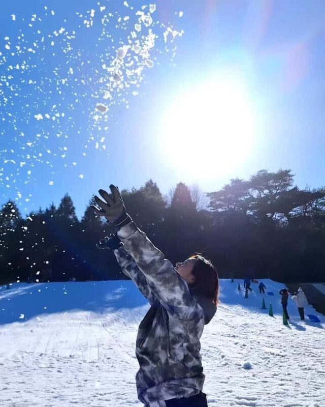 From Osaka: Japans Popular Okuibuki Ski Resort Day Trip - Who Will Love This Tour?