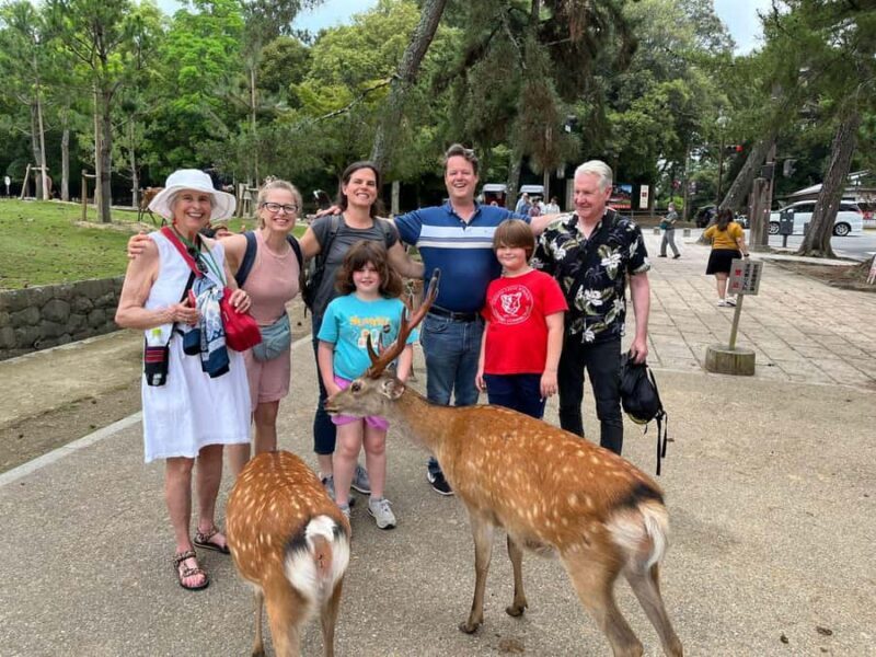 From Osaka/Kobe Port: Nara Private Tour with Guide & Driver - Who Will Enjoy This Tour the Most?