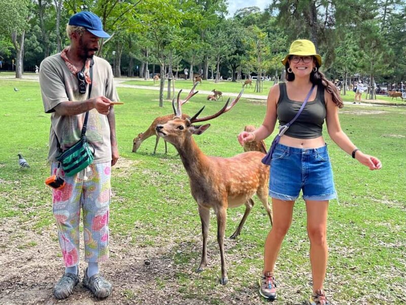 From Osaka/Kobe Port: Nara Private Tour with Guide & Driver - Final Thoughts