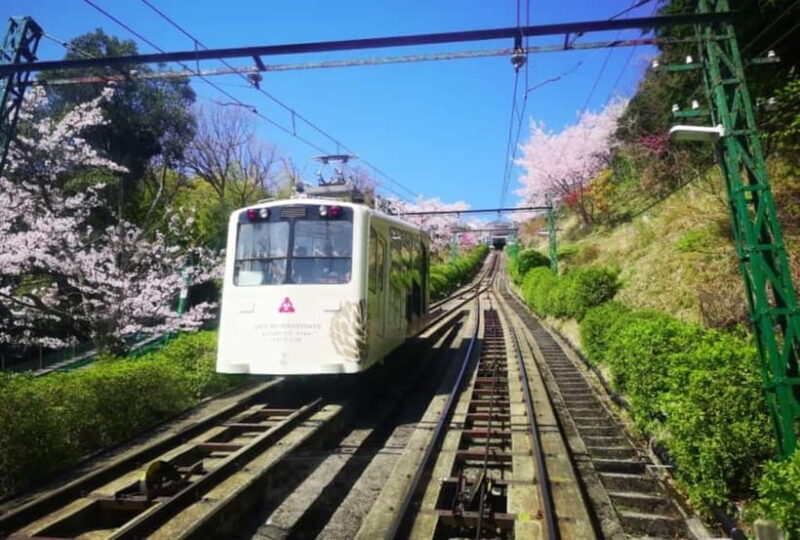 From Osaka/Kyoto: Amanohashidate Day Tour with Lunch - Final Thoughts