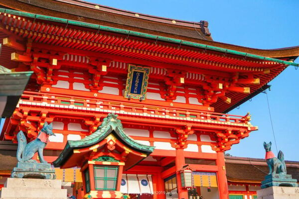 From Osaka: Kyoto and Nara 1-Day Trip - Important Travel Information