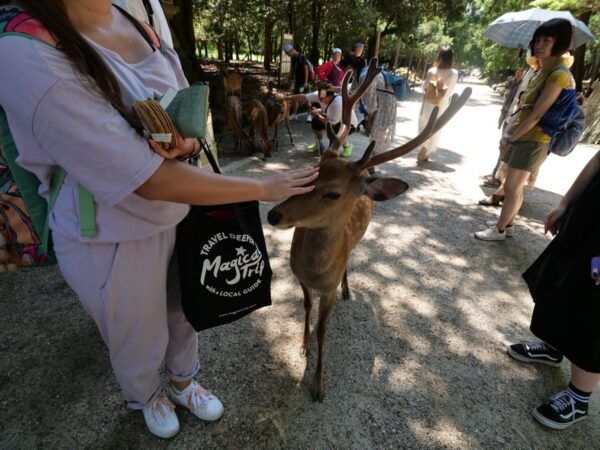 From Osaka: Kyoto and Nara 1-Day Trip - Booking and Cancellation Policy