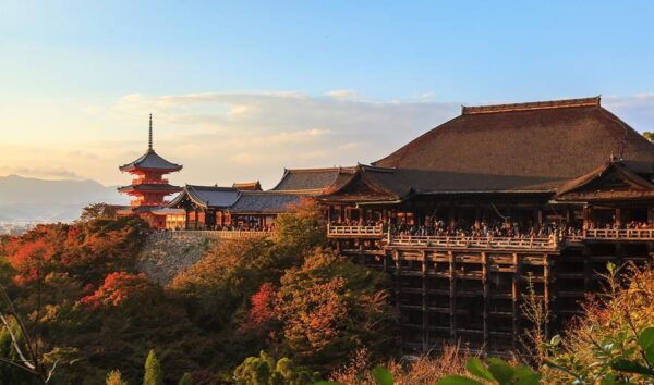 From Osaka: Kyoto and Nara Day Tour With Deer Sightings - Frequently Asked Questions