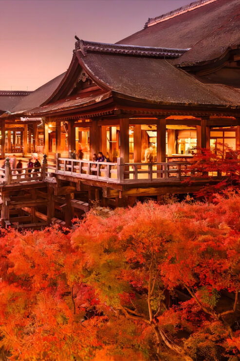From Osaka: Kyoto and Nara Day Tour With Deer Sightings - Itinerary Highlights