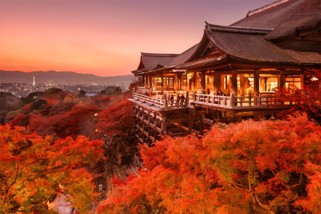 From Osaka: Kyoto and Nara Day Tour With Deer Sightings - Inclusions and Benefits