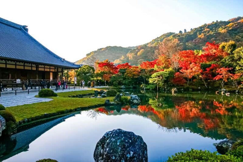 From Osaka/Kyoto: Arashiyama, Nara Park & Fushimi Inari Tour - Nara Deer Park: Fun for All Ages