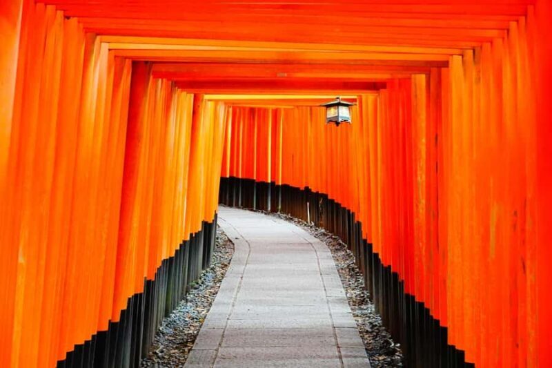 From Osaka/Kyoto: Arashiyama, Nara Park & Fushimi Inari Tour - Overview of the Tour Experience