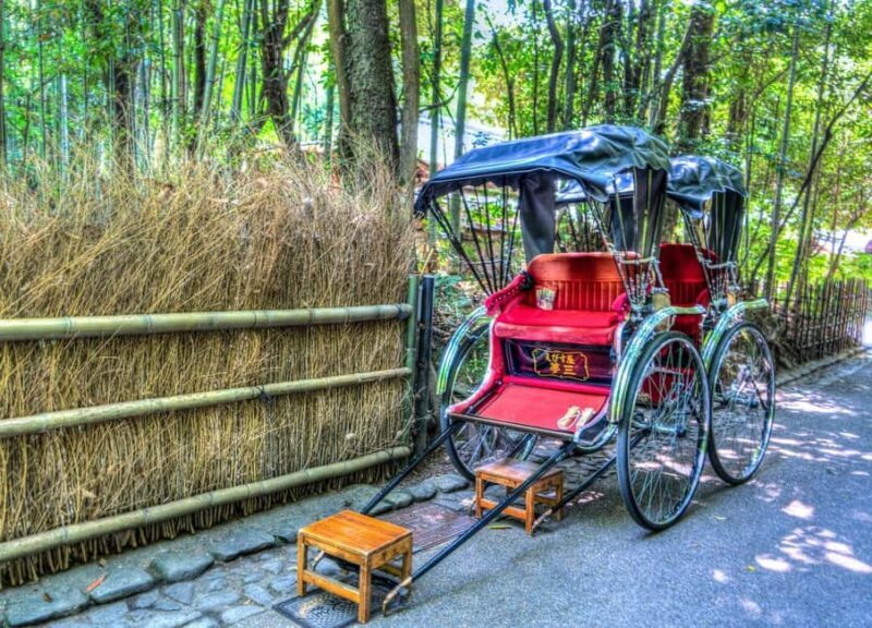 From Osaka/Kyoto: Arashiyama, Nara Park, Fushimi Shrine Tour - Who This Tour Is Best For