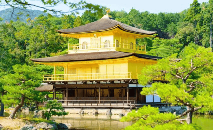 From Osaka: Kyoto Full Day Customized Private Tour - Good To Know