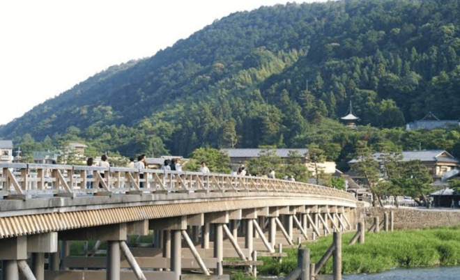 From Osaka: Kyoto Full Day Customized Private Tour - Transportation and Accessibility Features